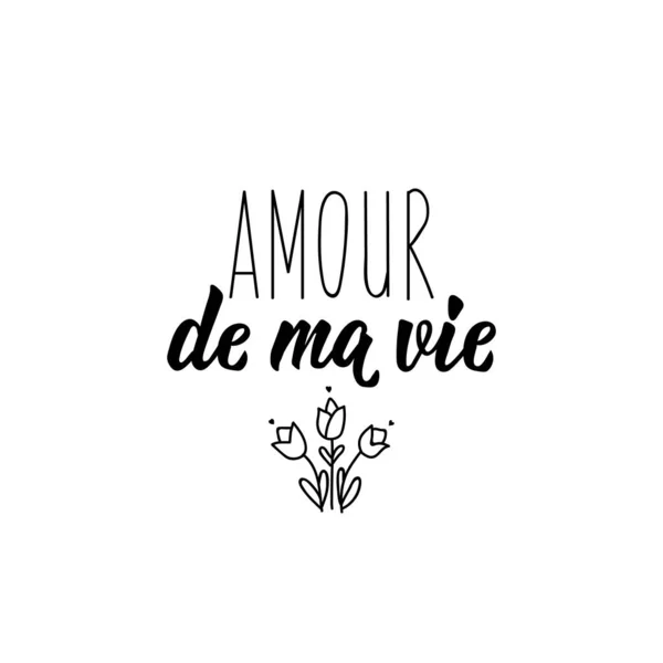 Love of my life in French language. Hand drawn lettering background. Ink illustration. Amour de ma vie. — Stock Vector
