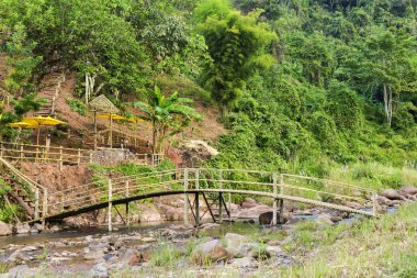 Köprü bambu. Ülkeleri bir dere geçerken kullanmak için inşa