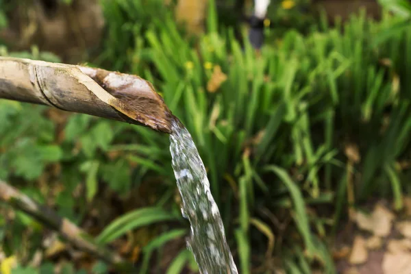 Bambu emzik lam. Kırsal sulama.