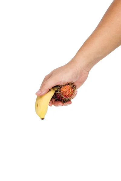 The simulated scale model of the penis is small.