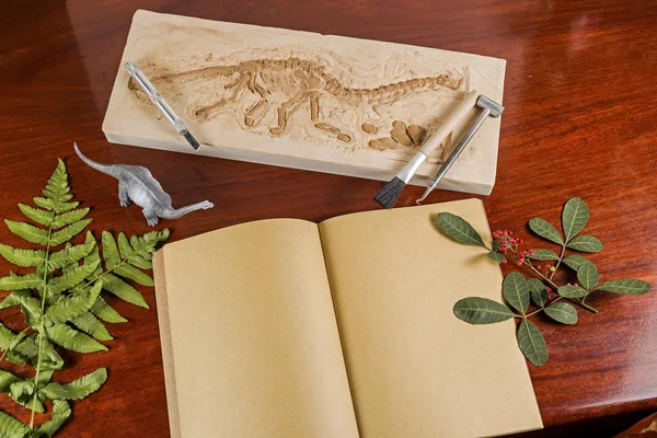 İskelet ve arkeolojik araçları. Kayıt tarihi için eğitim.