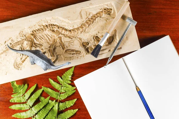 İskelet ve arkeolojik araçları. Kayıt tarihi için eğitim.