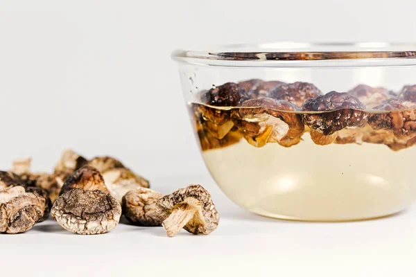 Shiitake mantar arasında kuru ve ıslak beyaz zemin üzerine.