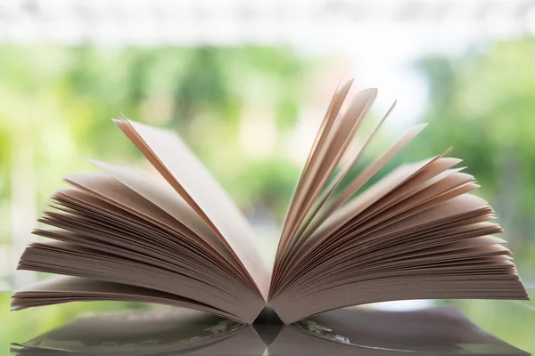 Soyut ışık arka plan üzerinde açık kitap