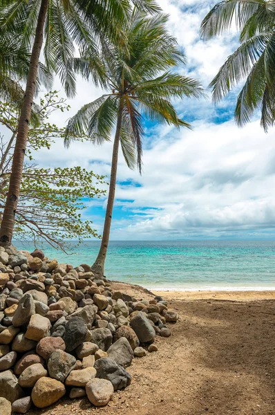 Palmiye ağaçları ve turkuaz suları beach Camiguin Adası,