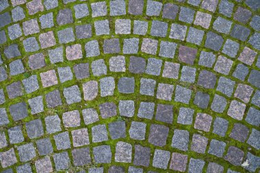 Dokulu döşeme, St Petersburg, Rusya Federasyonu.