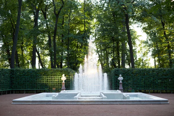 Çeşme yaz bahçesinde. Saint Petersburg