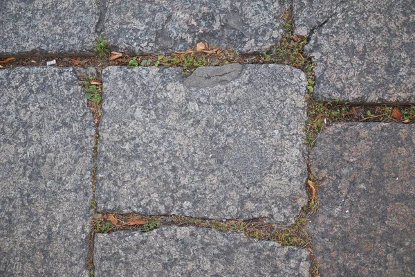 Cobbled pavement in the center Petersburg — Stock Photo, Image