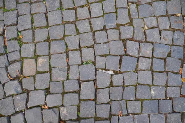 Pavers texturizados, São Petersburgo, Rússia . — Fotografia de Stock