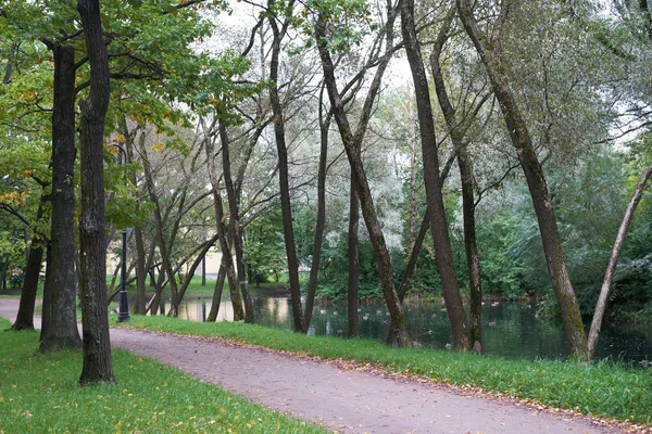 Alley in park of victory. Petersburg. — Stock Photo, Image