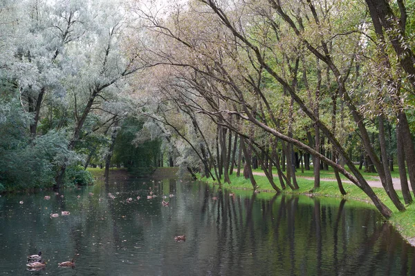 Zafer Parkı gölde. Petersburg.