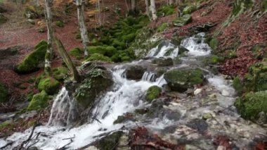 Su kaynağı Tornareccia İtalya Abruzzo Ulusal Parkı