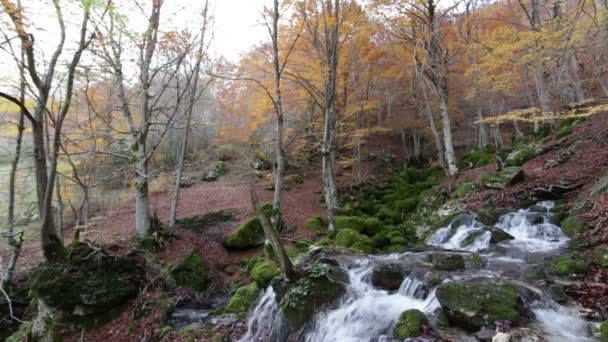 Fuente de agua Tornareccia en el Parque Nacional de los Abruzos en Italia — Vídeos de Stock