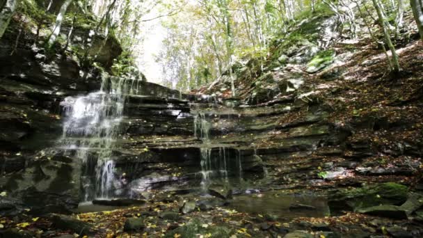 Beautiful waterfall "The three waterfalls" in the Park of Foreste Casentinesi in Tuscany, Italy. — Stock Video