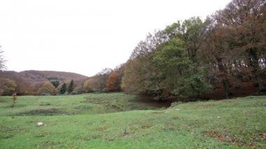 Sonbahar ormanda Umbria'deki / İtalya'daki Mount Cucco üzerinde.