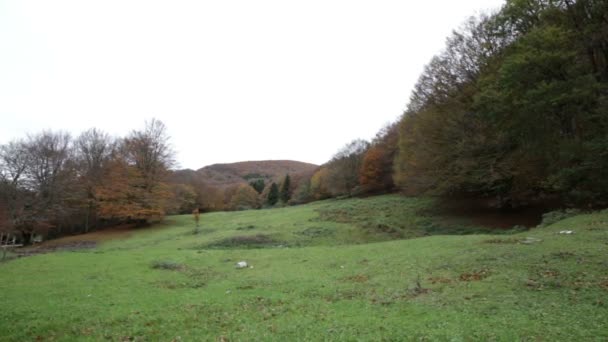 Sonbahar ormanda Umbria'deki / İtalya'daki Mount Cucco üzerinde. — Stok video