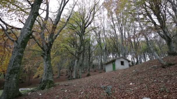 遗弃树林中的小屋在山出现在意大利翁布里亚 — 图库视频影像