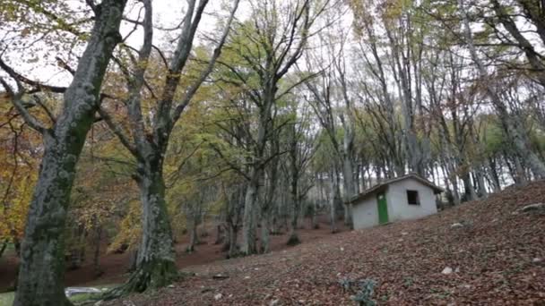 Maison abandonnée dans les bois sur le Mont Cucco en Ombrie en Italie 