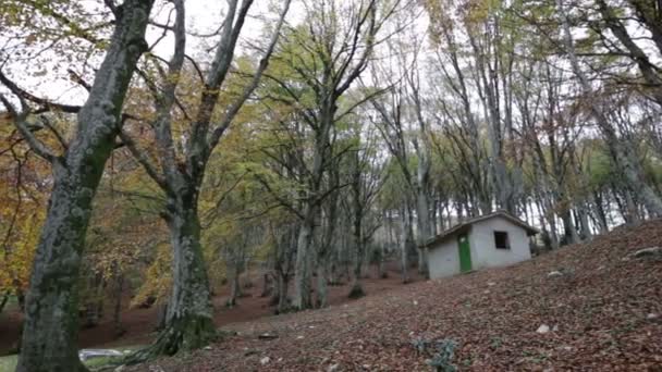 遗弃树林中的小屋在山出现在意大利翁布里亚 — 图库视频影像