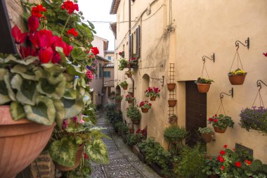 Çiçek sokaklarında Spello Umbria, İtalya.
