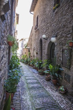 Çiçek sokaklarında Spello Umbria, İtalya.