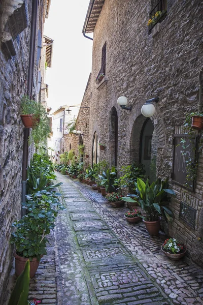 Floral streets of Spello in Umbria, Italy. Royalty Free Stock Images