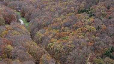 Sonbahar ormanda Umbria'deki / İtalya'daki Mount Cucco üzerinde.