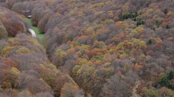 Skogen under hösten på den Mount Cucco i Umbrien i Italien. — Stockvideo