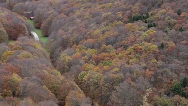 Floresta no outono no Monte Cucco na Úmbria, na Itália . — Vídeo de Stock