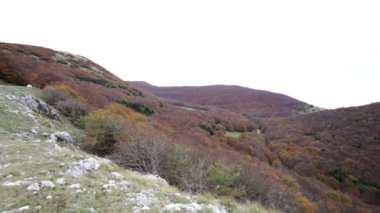 Sonbahar ormanda Umbria'deki / İtalya'daki Mount Cucco üzerinde.