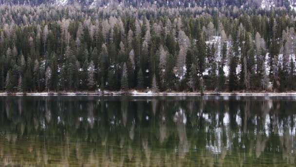 Лес возле озера Сент-Мориц в Швейцарии — стоковое видео