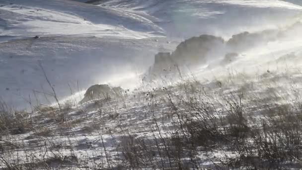 Wind waait in de sneeuw in de bergen van Abruzzo. — Stockvideo