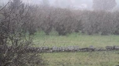 İtalya Viterbo şiddetli kar yağışı.