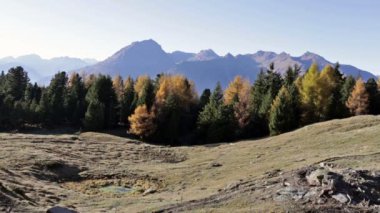 Sonbahar manzara Valtellina İtalya içinde.