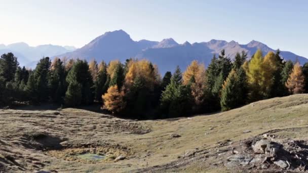 Осінній пейзаж у регіоні Вальтелліна в Італії. — стокове відео