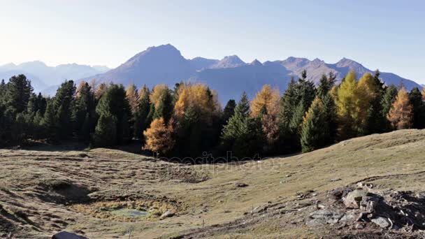 Herbstliche landschaft in valtellina in italien. — Stockvideo