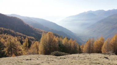 Sonbahar manzara Valtellina İtalya içinde.