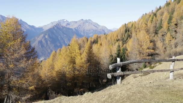 Осенний пейзаж в Вальтеллине в Италии . — стоковое видео