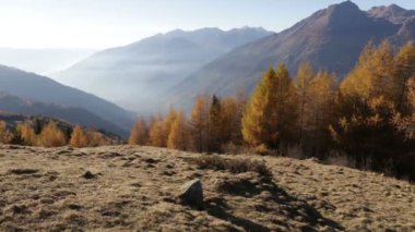 Sonbahar manzara Valtellina İtalya içinde.