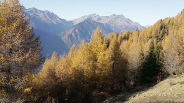 Paisaje otoñal en Valtellina en Italia . — Vídeos de Stock