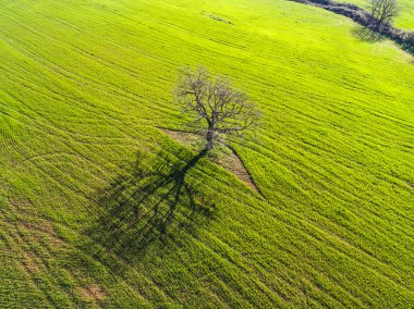 Castel Sant Elia. İl içinde kırsal havadan görünümü