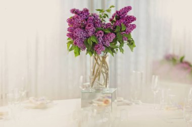 bir Eflatun Menekşe buketi