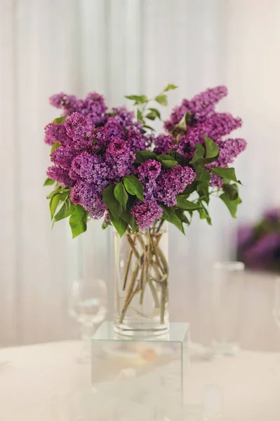 violet bouquet of a lilac