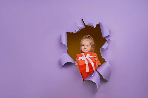 かわいい子供の女の子は手にギフトボックスと色の紫色の紙の壁を突破します 幼児面白い感情が直面する テキストのコピースペース — ストック写真