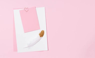 Empty template for romantic letters on a pink background. White feather with gold plating. Real photo, flat lay. Copy space for text.