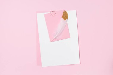 Empty template for romantic letters on a pink background. White feather with gold plating. Real photo, flat lay. Copy space for text.