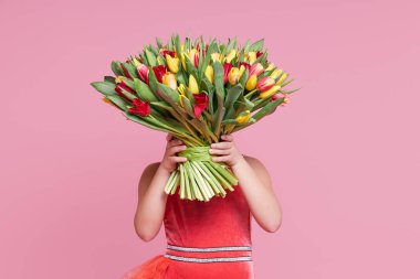 Yüzünün önünde pembe bir demet güzel lale tutan sevimli bir çocuk. Küçük kız annesine buket verdi.