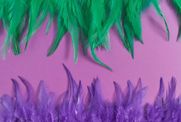 Colored feathers on a purple paper background. Venetian Carnival and Mardi Gras. Empty template for design.