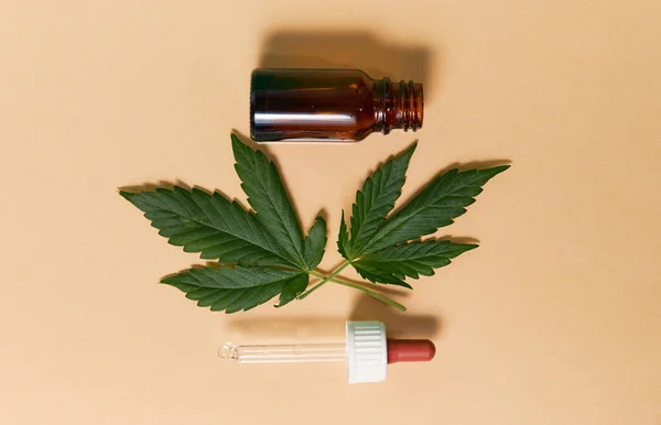 Cbd Hemp Oil Drip Bio Medicine Ecology Hemp Plant Herb — Stock Photo, Image