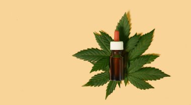 CBD kenevir yağı, serum, biyo-ilaç ve ekoloji, kenevir bitkisi, ilaç, tıbbi çıkarmadan esrar yağı